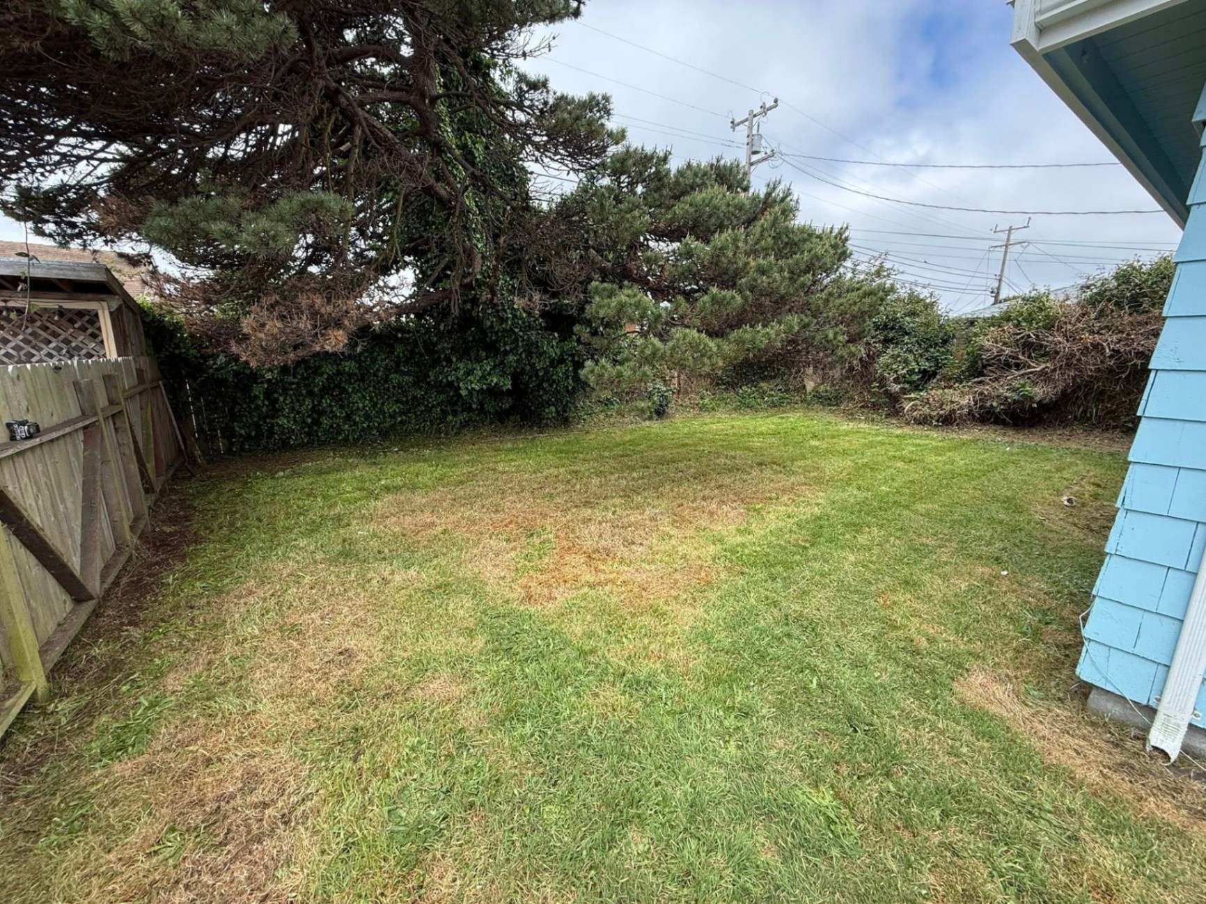 Backyard Mow & Lawn Cleanup — after photo in Humboldt County by Rodriguez Landscaping