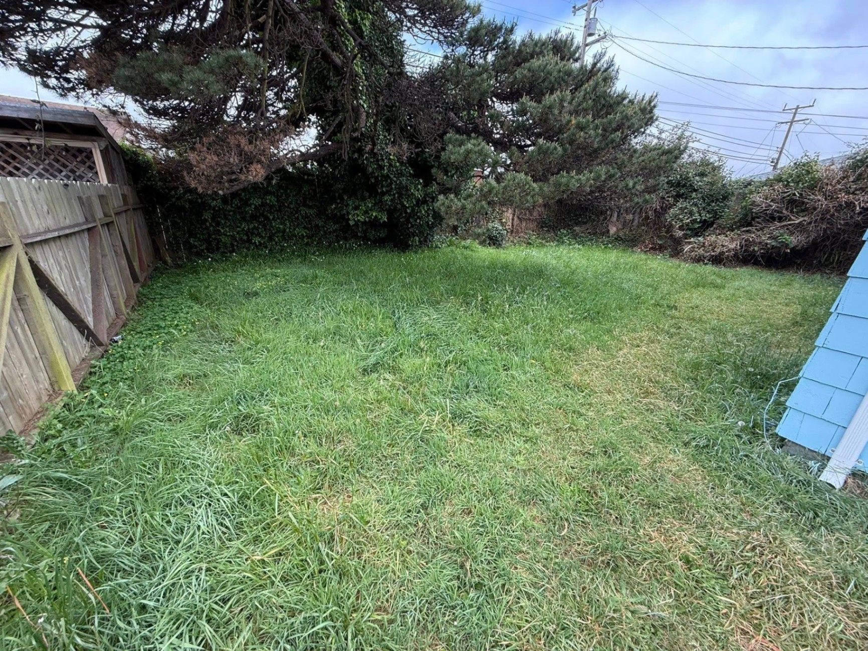 Backyard Mow & Lawn Cleanup — before photo in Humboldt County