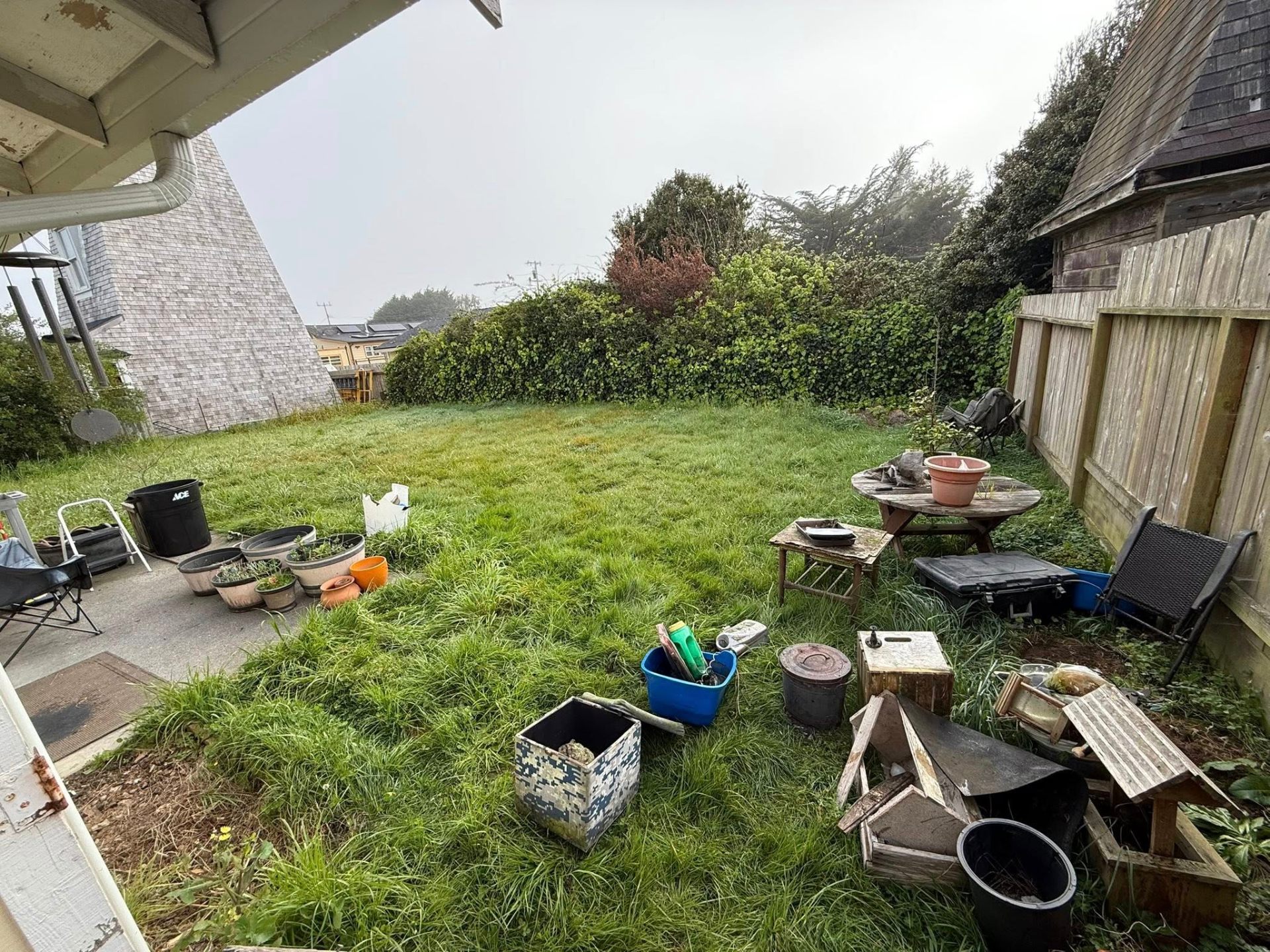 Yard Cleanup & Junk Removal — before photo in Humboldt County