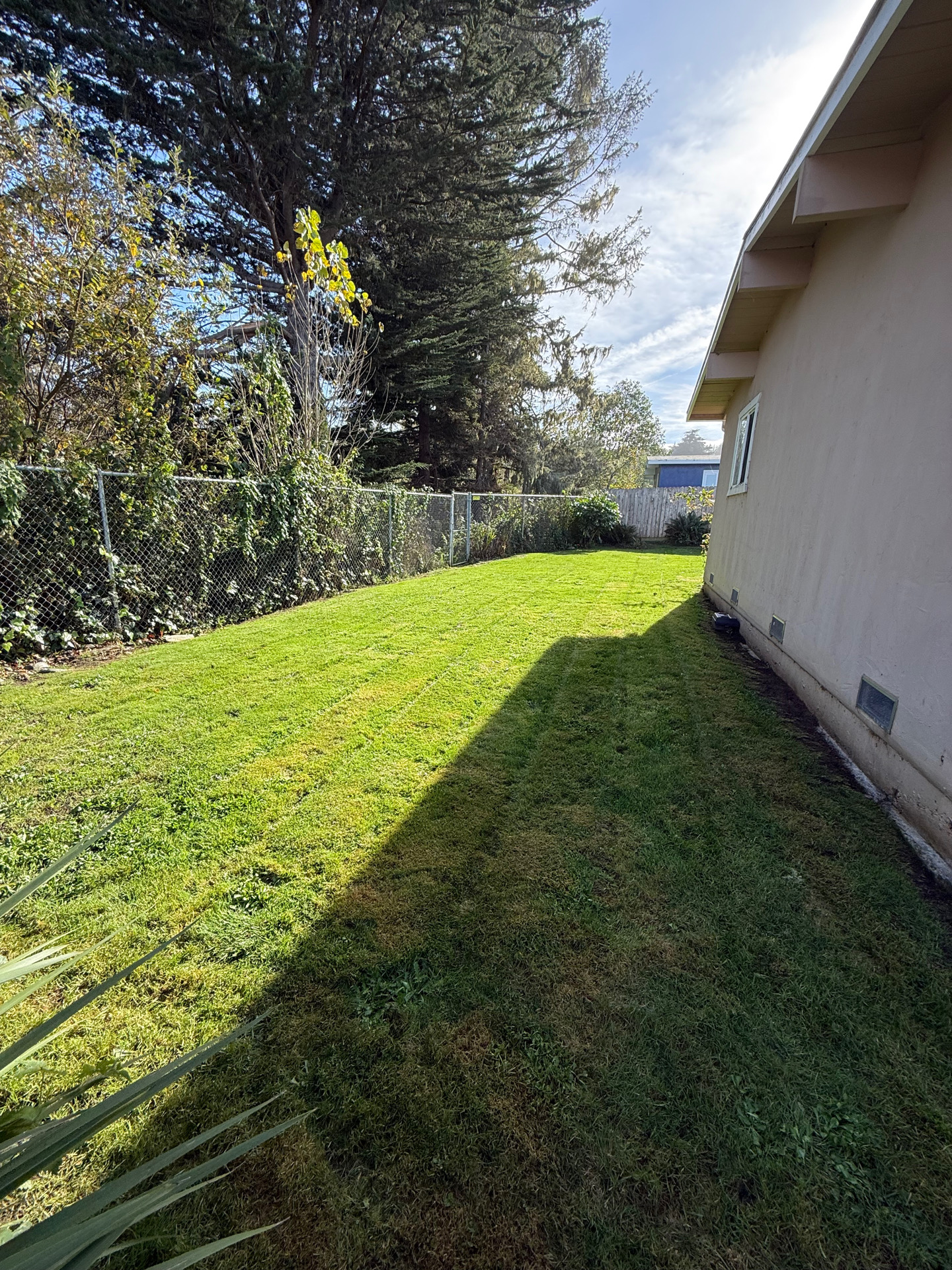 Professional lawn mowing service in Humboldt County