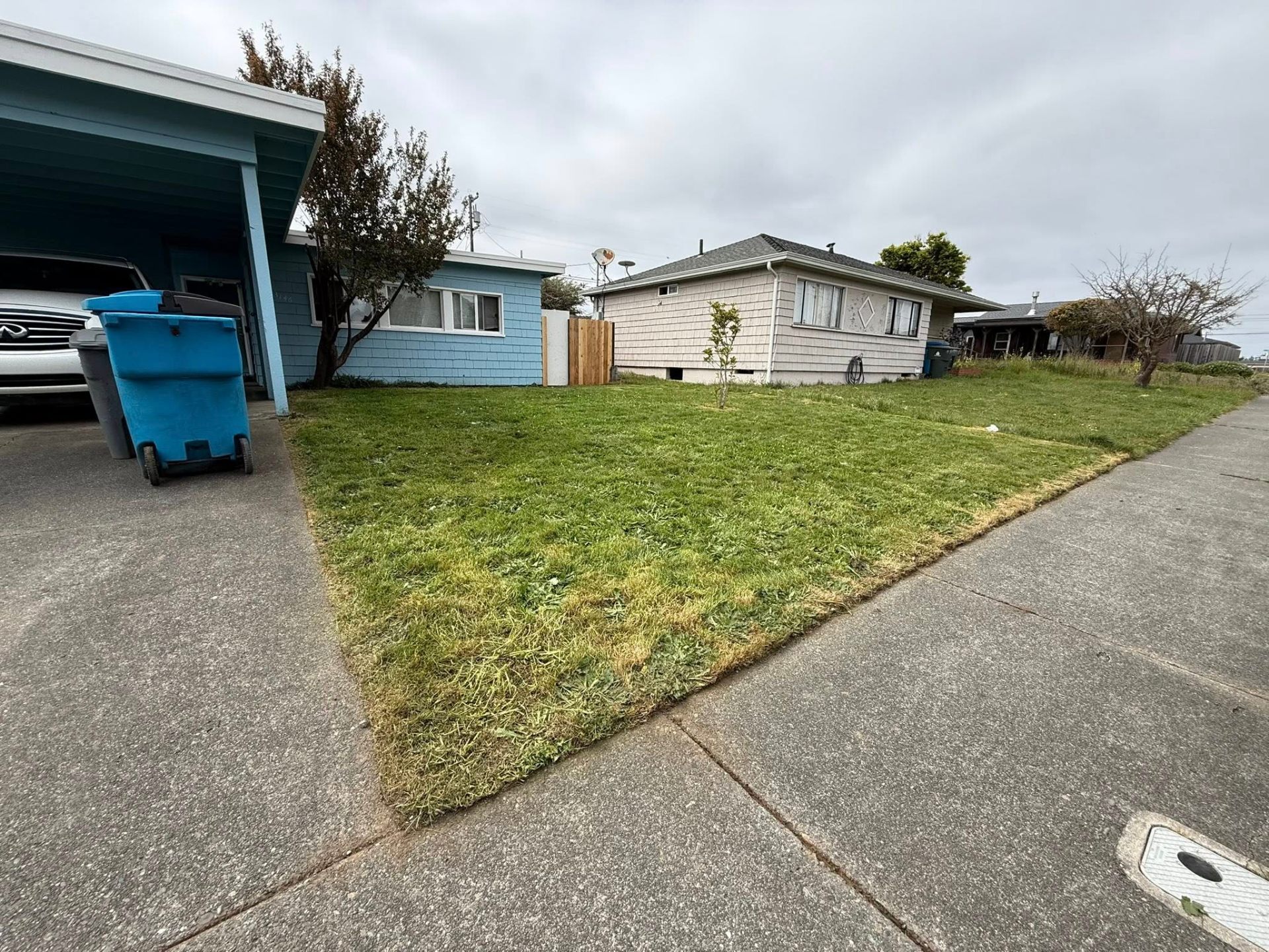 Lawn Restoration & Mowing — after photo in Humboldt County by Rodriguez Landscaping