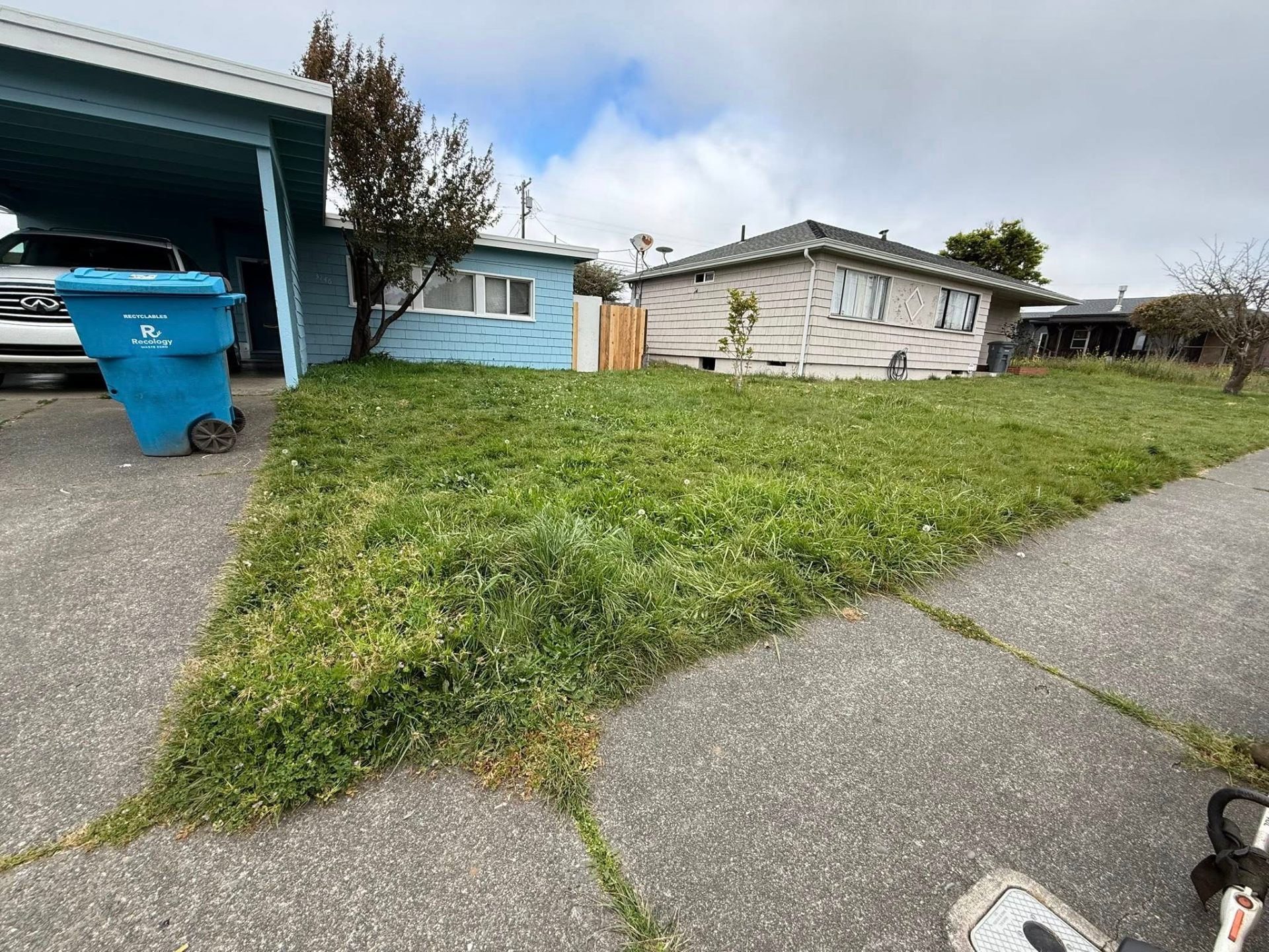 Lawn Restoration & Mowing — before photo in Humboldt County