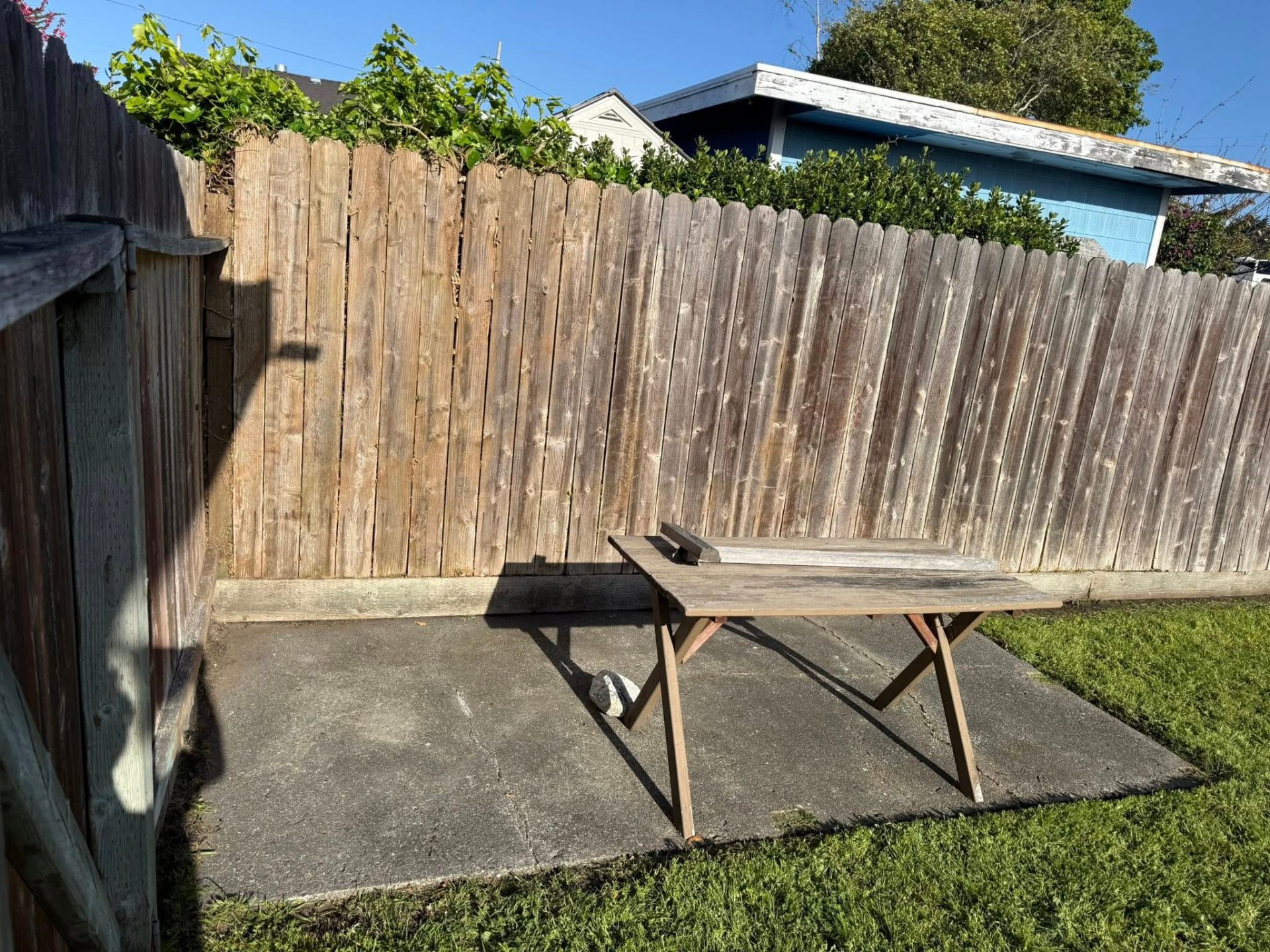 Patio Clearing & Ivy Removal — after photo in Humboldt County by Rodriguez Landscaping