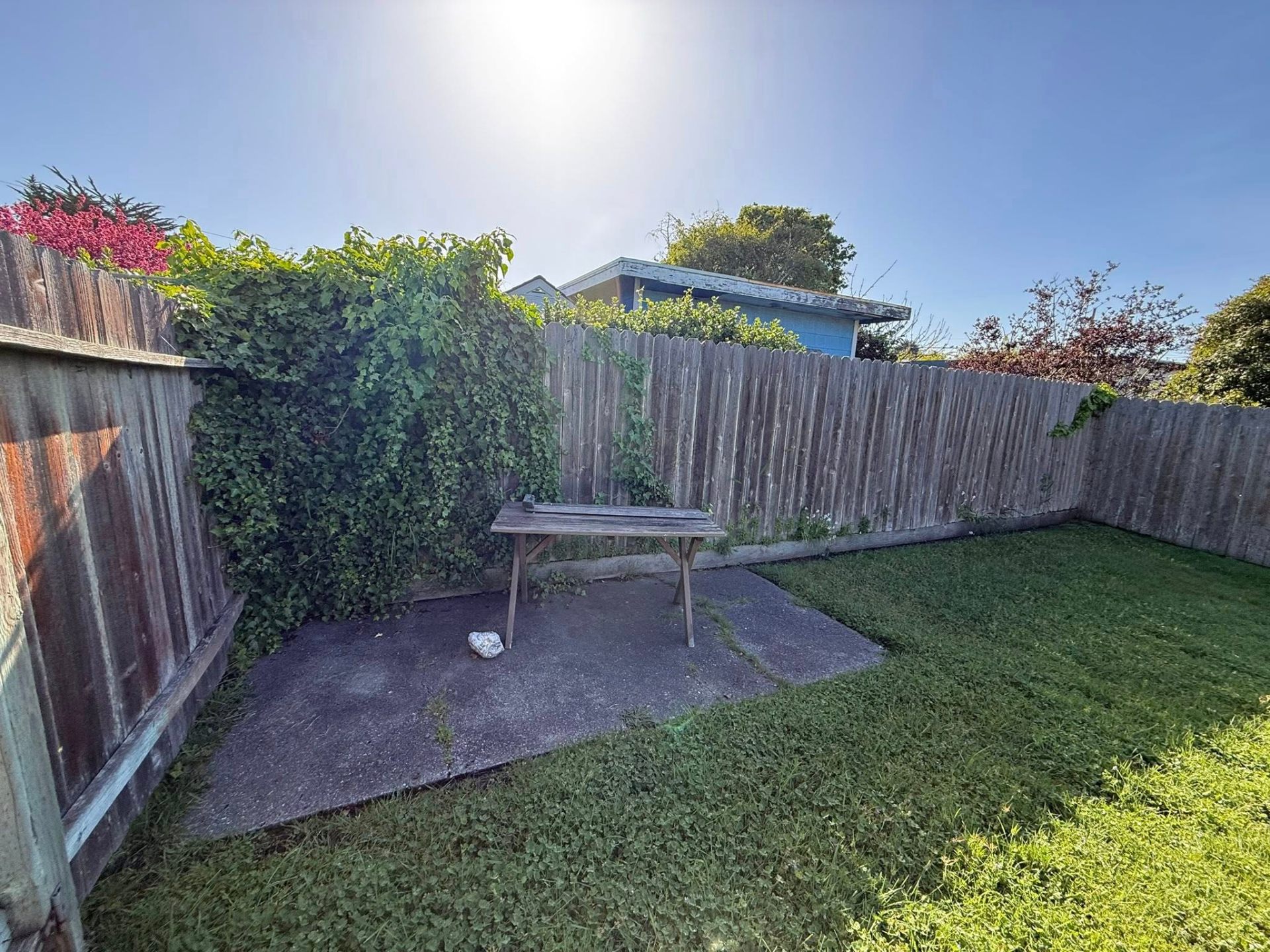 Patio Clearing & Ivy Removal — before photo in Humboldt County
